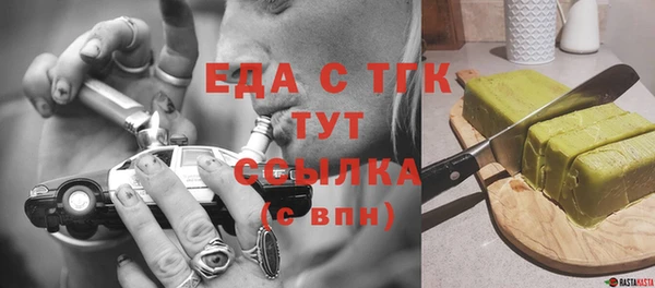 гашик Каменка