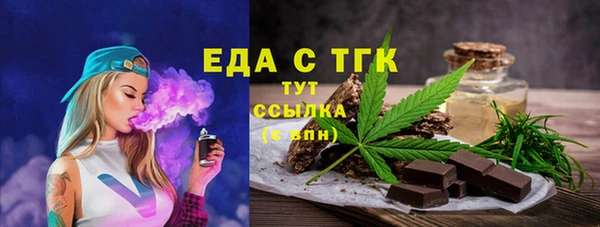 гашик Каменка