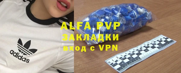 гашик Каменка