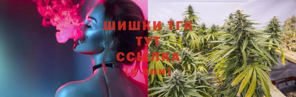 герыч Каменногорск