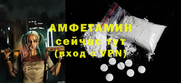 гашик Каменка