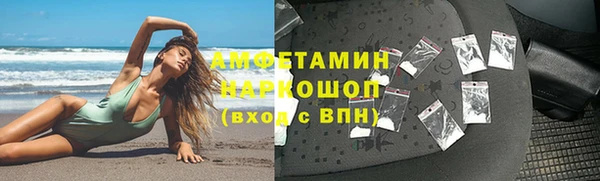 гашик Каменка