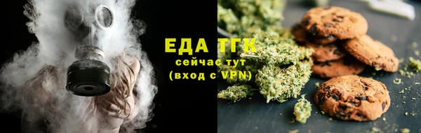 гашик Каменка