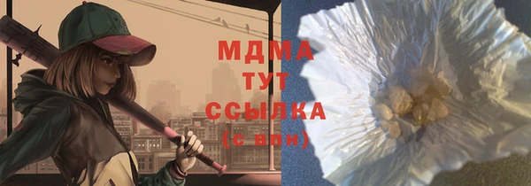 гашик Каменка