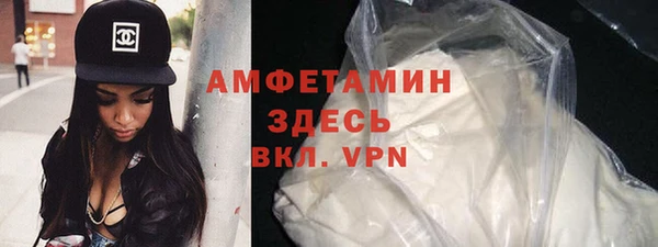 гашик Каменка
