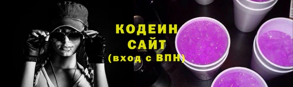 гашик Каменка
