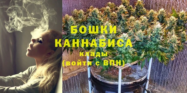 гашик Каменка