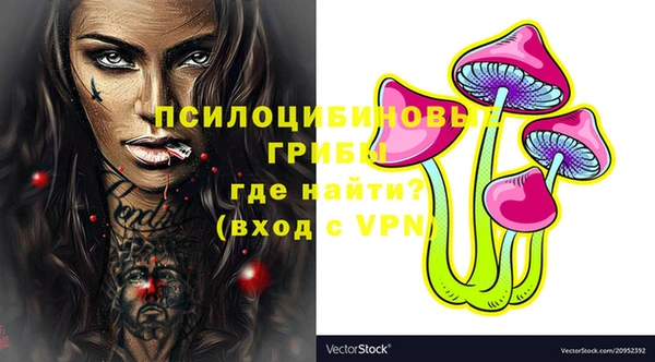 герыч Каменногорск