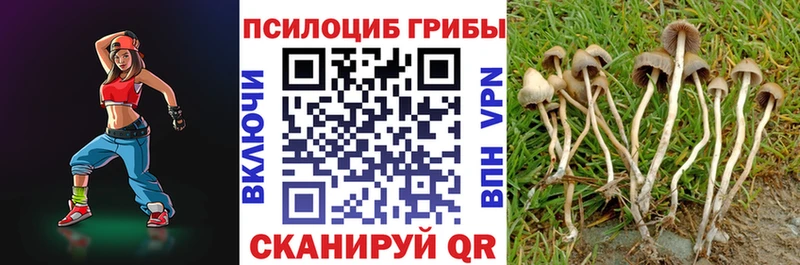 Купить  Верхнеуральск  Псилоцибиновые грибы ЛСД 